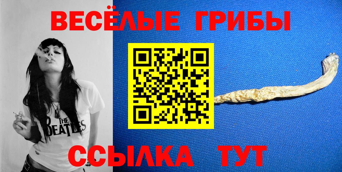 Самара  Псилоцибиновые грибы мицелий  Вход с VPN 